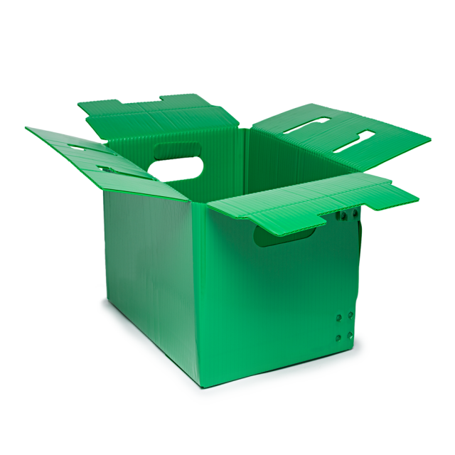 Large Green Regular slotted container with lid