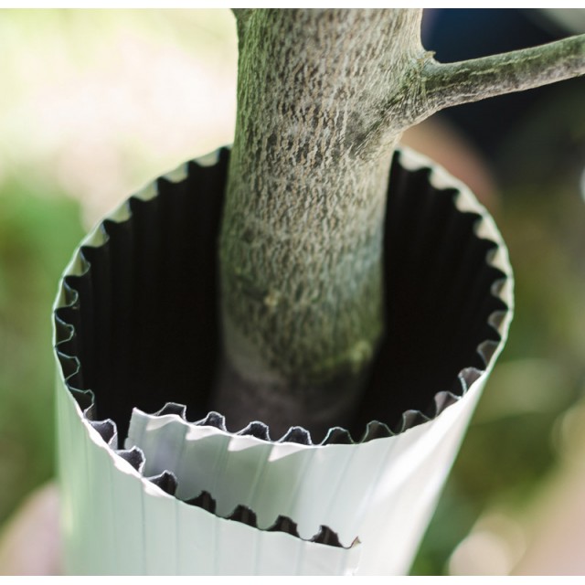 white and black corrugated plastic tree wrap