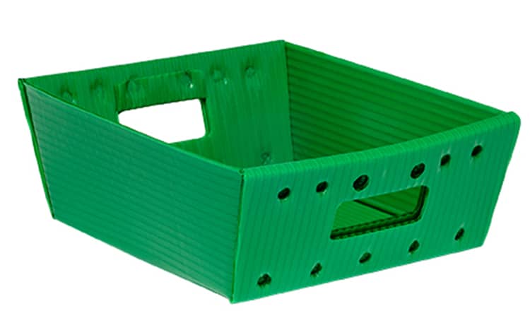 Large Plastic Trays 