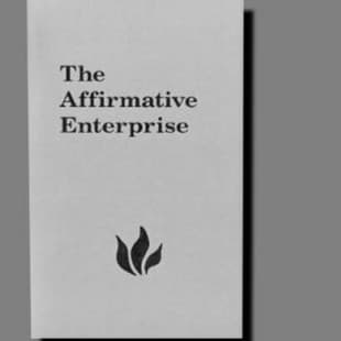 The Affirmative Enterprise book cover