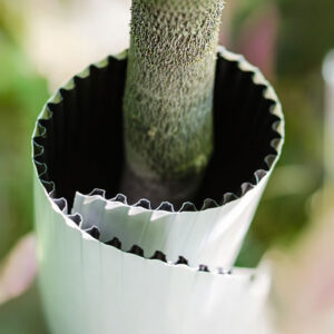 Corrugated Plastic Tree Wrap 7512